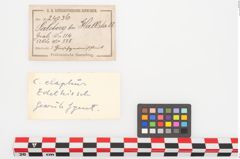 Etiketten zu Beingriff (NHMW-PRAE-024036)